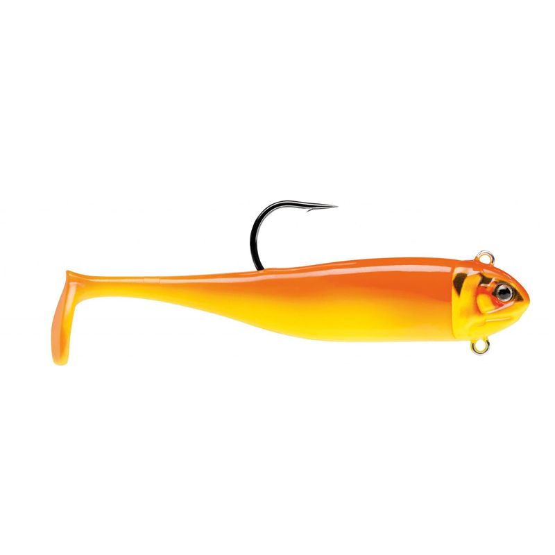 biscay minnow cca